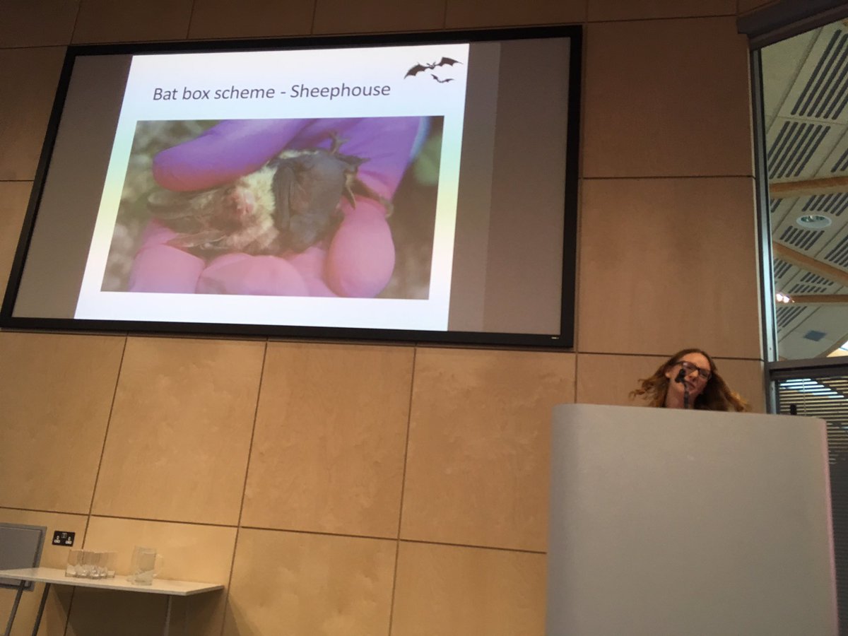 Dani Smith with an overview of <a href="/NorthBucksBats/">NorthBucksBatGroup</a> - bat box scheme provided 1st record of bechstein bat in the county#sebatconf