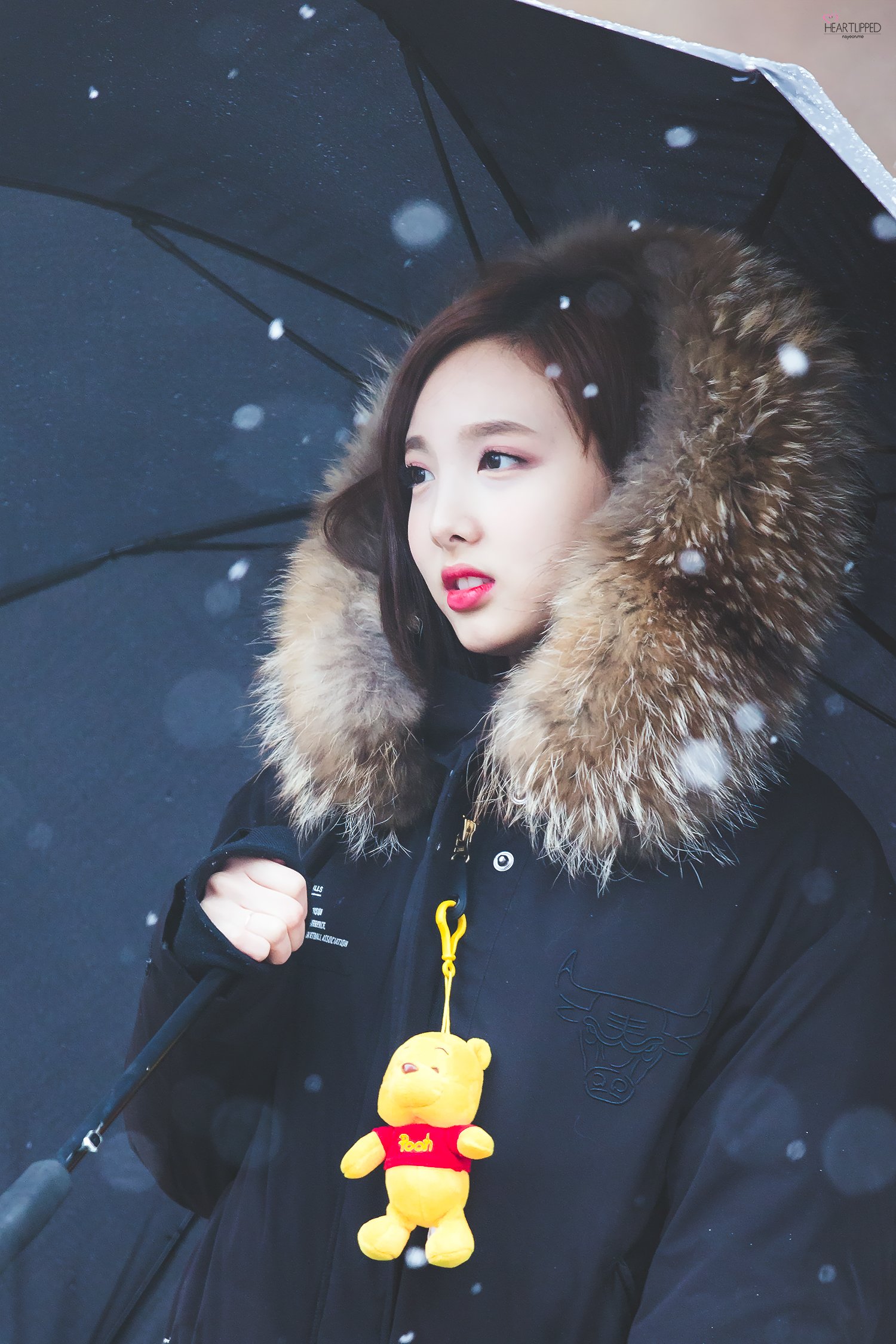 CyLu1P-UQAA7b84.jpg:orig