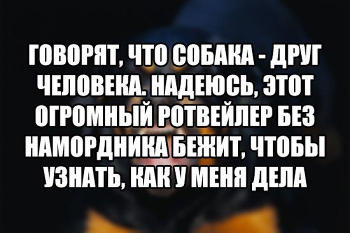Открытки, приколы картинки про текст