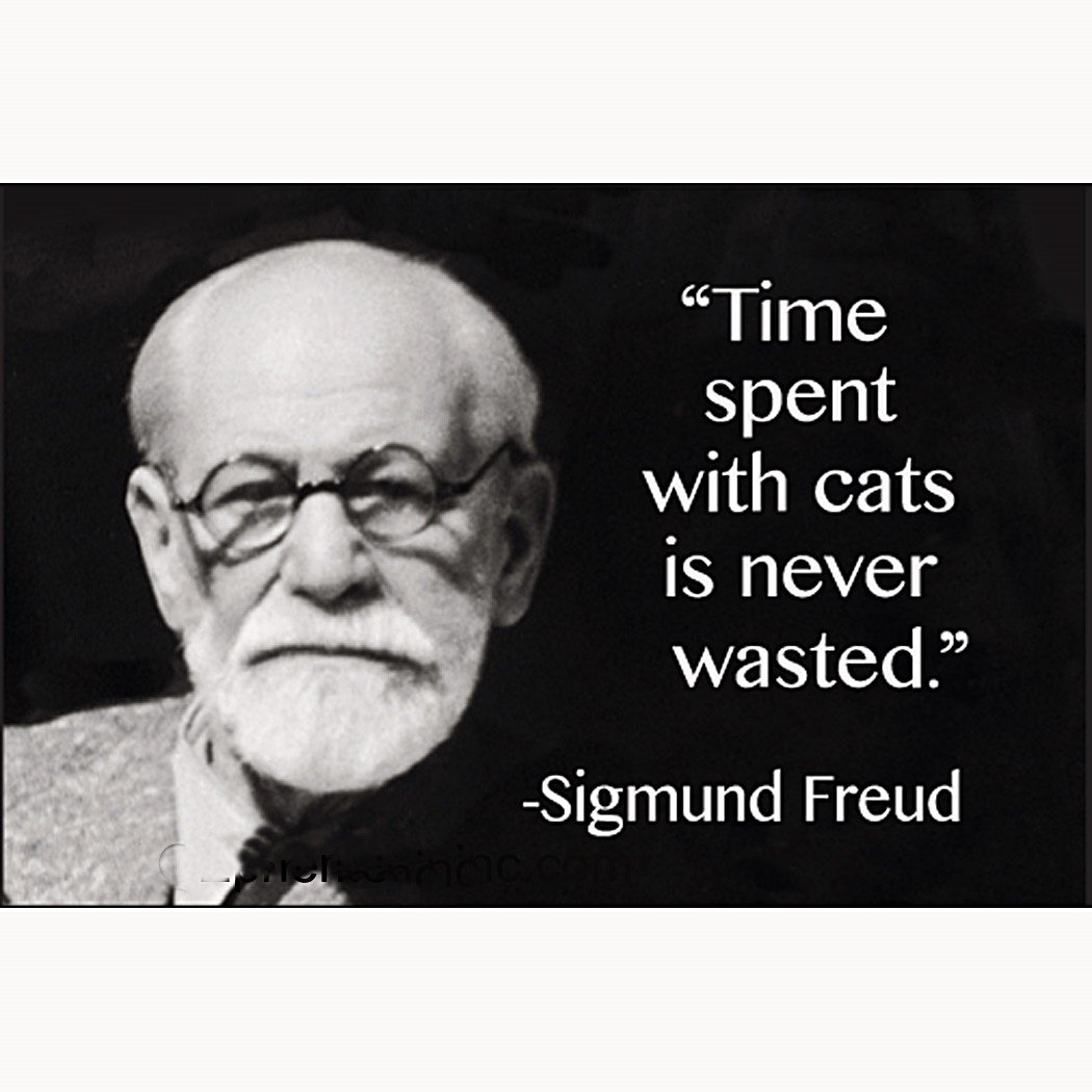 The Funniest Sigmund Freud Memes Ever Thriveworks