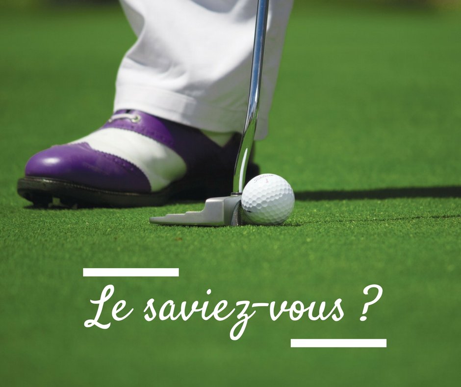 Totem Info tweet media