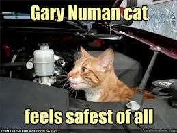 SoundbaseMCR's tweet photo. Shout out to Gary Numan's Cat this fine Saturday Morning! https://t.co/dwuC57Vwhz