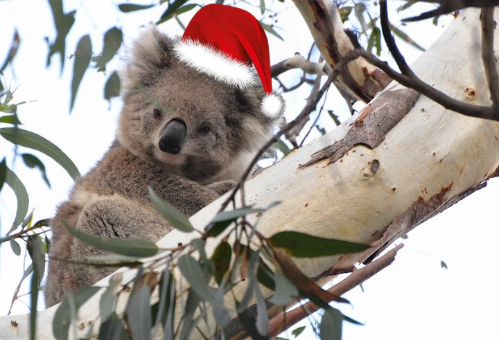 Who's getting excited for Christmas?!