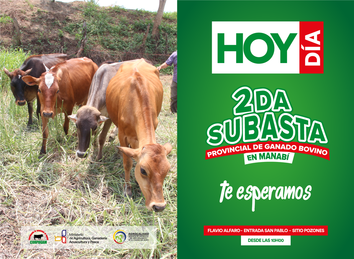 Corpogam1's tweet photo. @AgrocalidadEC @AgriculturaEc @MashiRafael @JorgeGlas @ricardozampais @ppsesa @MAGAP_Manabi @eldiarioec @eluniversocom @elcomerciocom https://t.co/i8JCP2FQAb