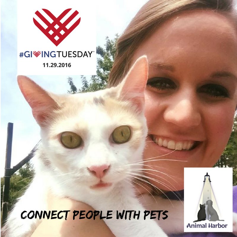 AnimalHarbor's tweet photo. You guys are the heroes! #GivingTuesday lets you shine! 

T-Minus 3 days! https://t.co/R478P9pebj