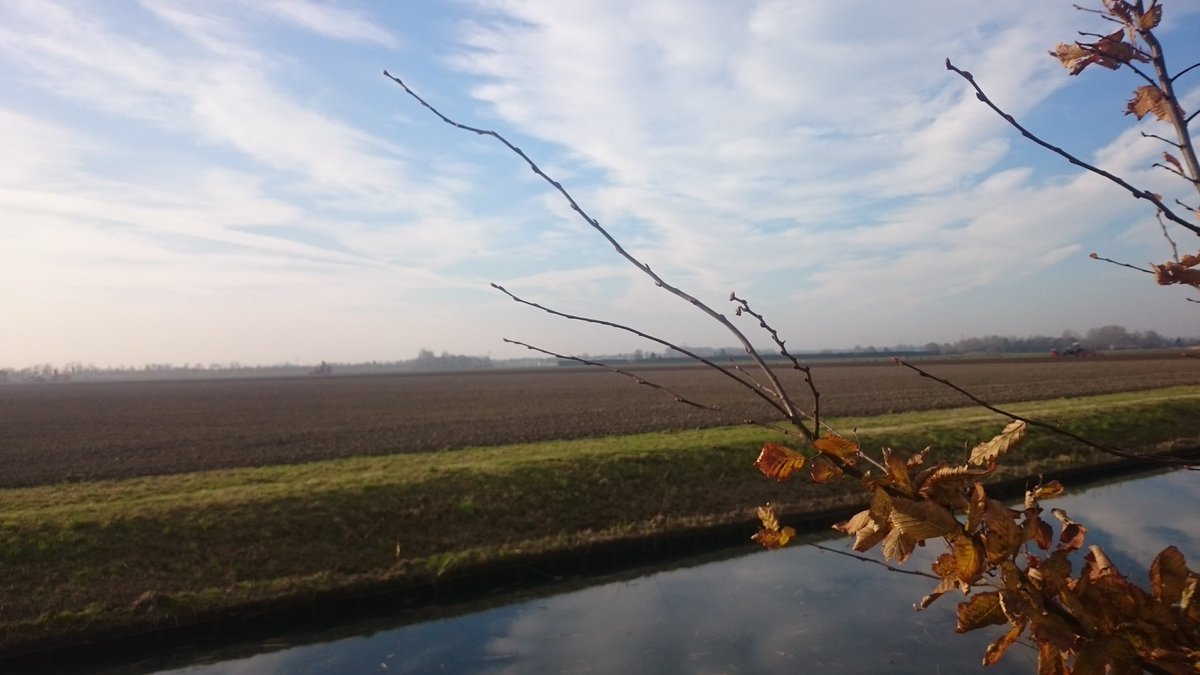 Het lijkt zo rustig in de polder, maar bij de buren <a href="/Novifarm/">Novifarm</a> volop activiteiten: rooien, ploegen en zaaien. Mooi weer, mooi werk.
