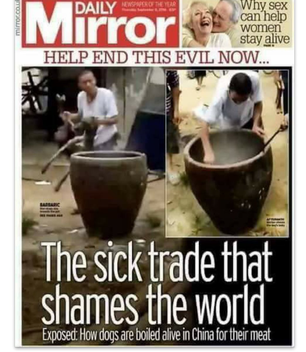 susan_song_v's tweet photo. @HFACDemocrats @HouseForeign @PRyan @SpeakerRyan @kevinomccarthy @cnni @CNN    Push To Vote On #HouseResolution752  #StopDogMeat #DMT #CHINA https://t.co/RS7E1H6yOu