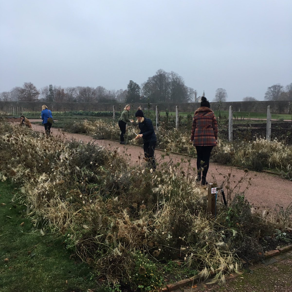 GCWalledGarden's tweet photo. It may be gloomy outside but it's glowing inside with the lovely @wildgorse winter wreath making 🎄🌸 https://t.co/fXGl22YiZO