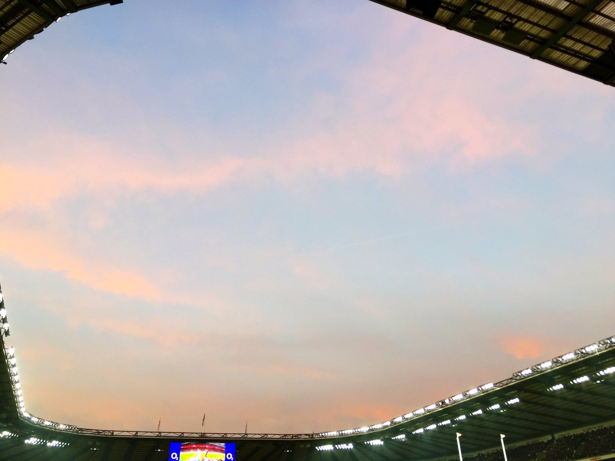 clamerkin's tweet photo. In the pink. #WearTheRose #carrythemhome https://t.co/nA3BpeI2OD