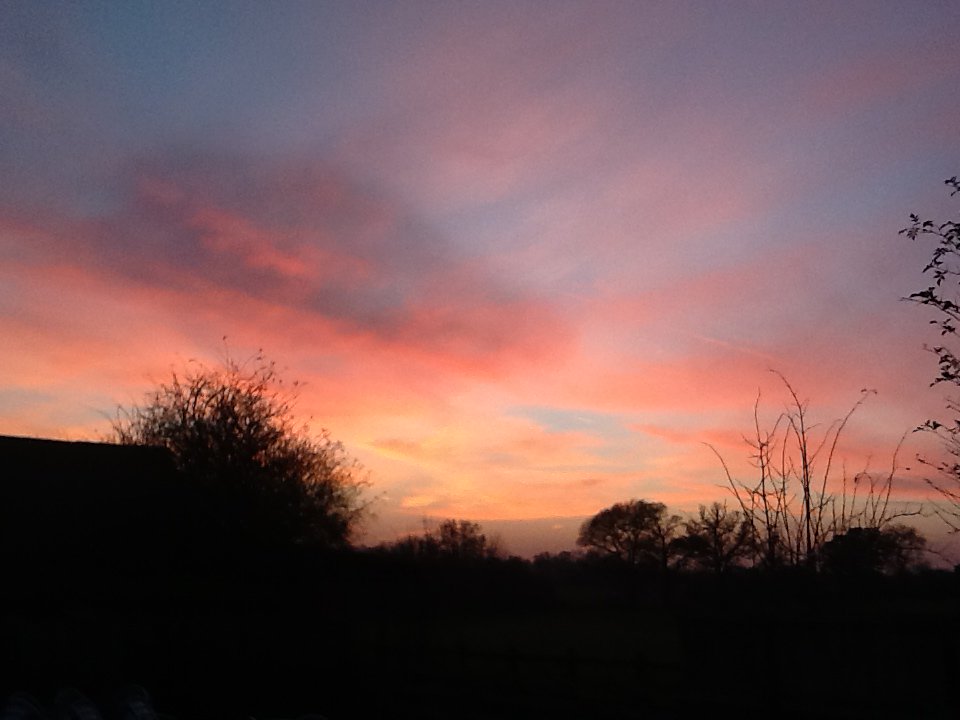 RowanGC's tweet image. After a beautiful day selling the first of our Christmas trees, a stunning sunset.