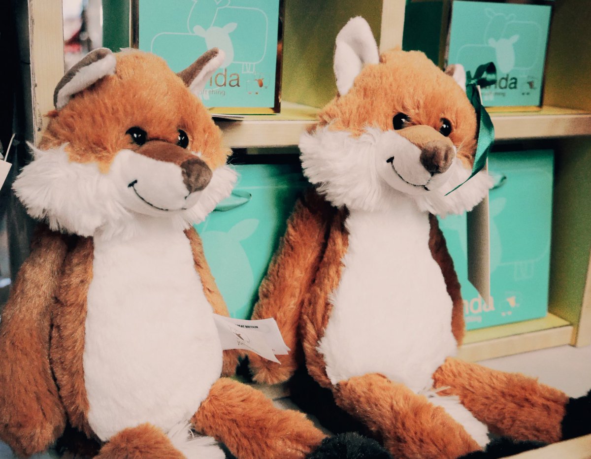 annie_hambley's tweet photo. Found a foxy friend for our little cub today ... may get one for his mummy to snuggle too @AmandaMullins10 πxx #cubcuddles https://t.co/dOkRpXFAAv