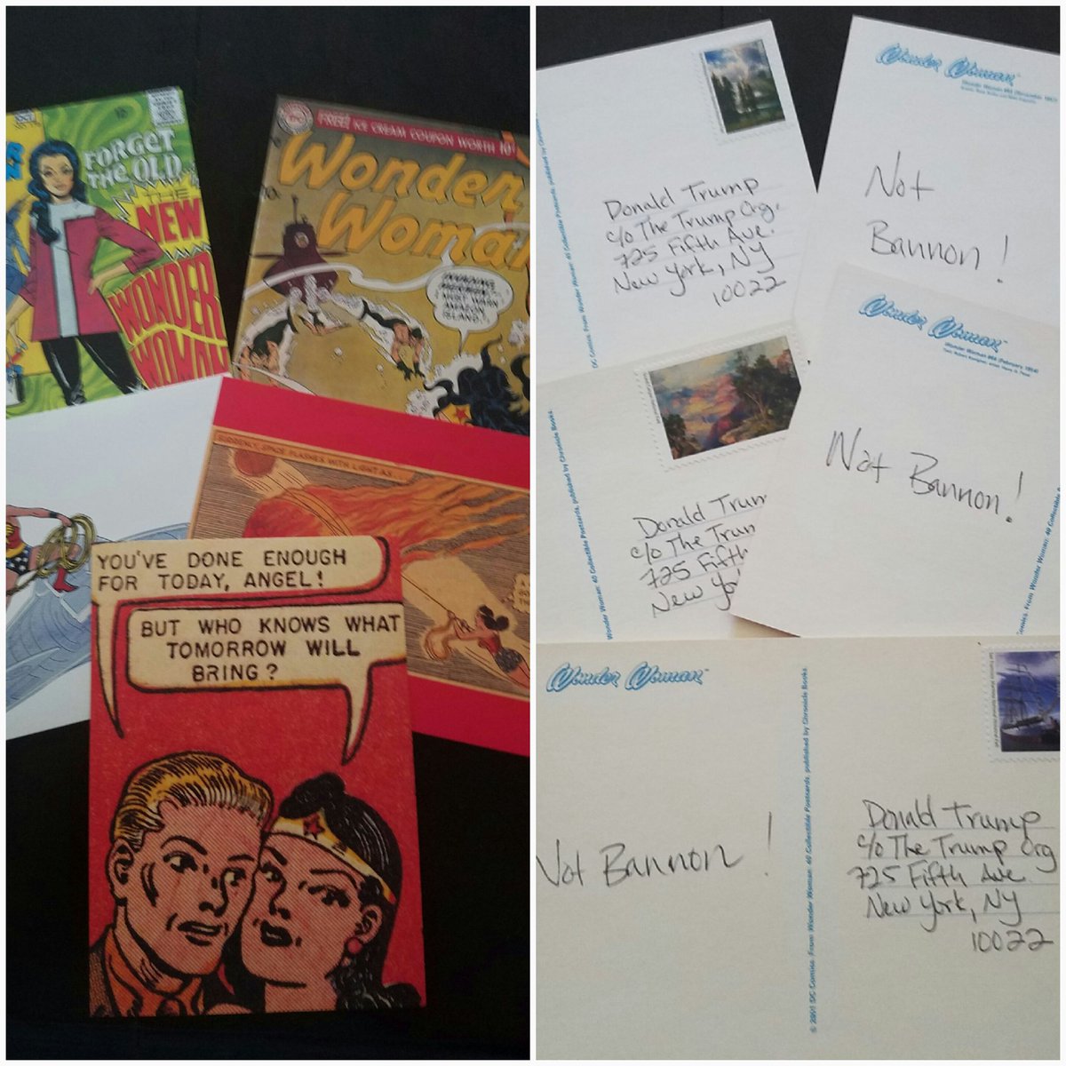 angswildatheart's tweet photo. Are you ready for the #postcardavalanche, @realDonaldTrump ? #stopbannon! #stophate @POTUS https://t.co/7Upjn3471F