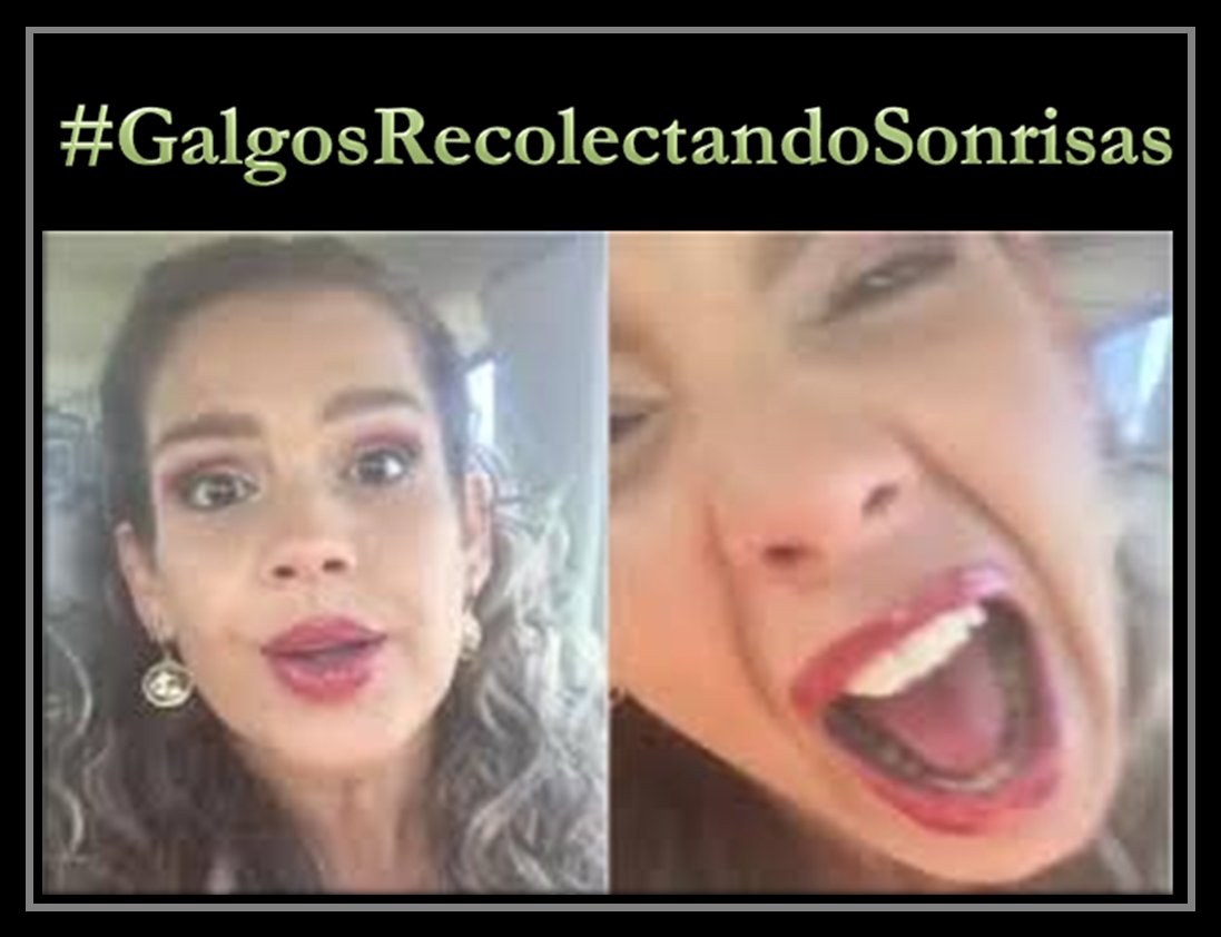 morenoramirezje's tweet photo. #GalgosRecolectandoSonrisas https://t.co/umYT4HSB8V