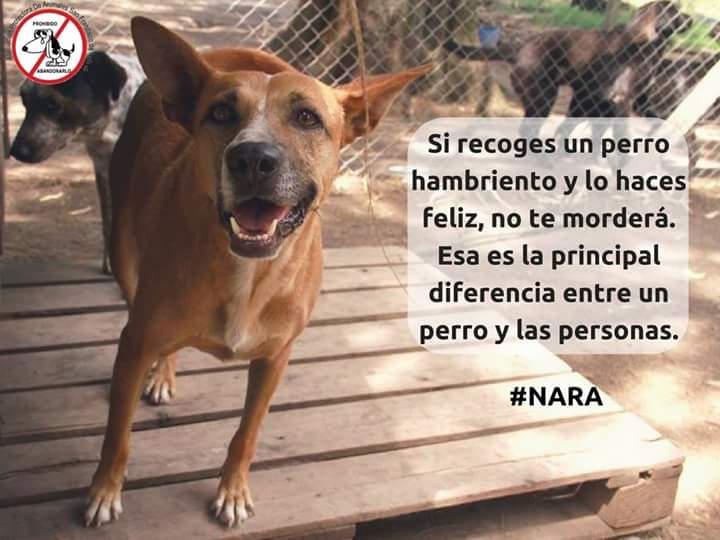 nydiacervera tweet picture