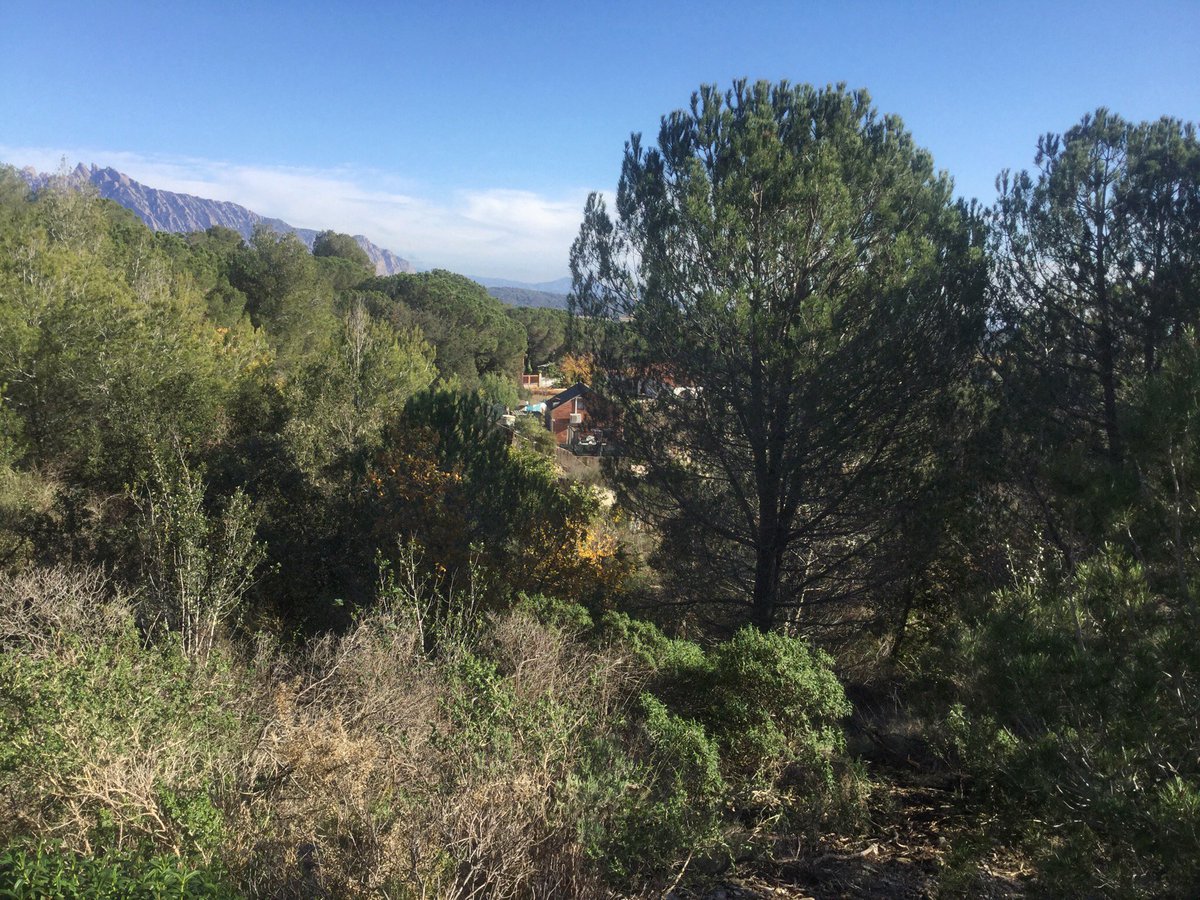 entrearbres's tweet photo. Sortides dcamp memòries valorades obertura #frangesperimetrals #prevencioIF #urbanitzacions #boscdelaliga #castelldelaventosa #piera #anoia https://t.co/Xm6ZGoDrHn