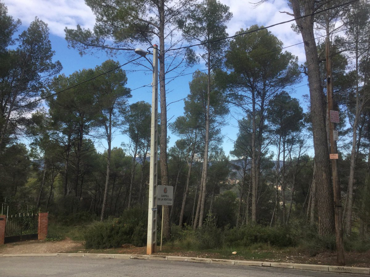 entrearbres's tweet photo. Sortides dcamp memòries valorades obertura #frangesperimetrals #prevencioIF #urbanitzacions #boscdelaliga #castelldelaventosa #piera #anoia https://t.co/Xm6ZGoDrHn