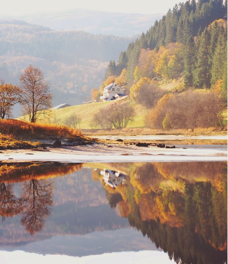 StellerStories tweet picture