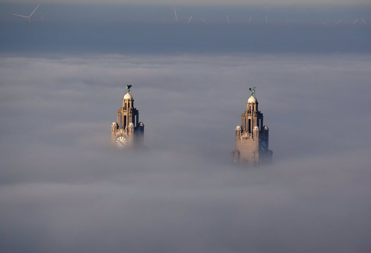 IndpndtLiv's tweet photo. This picture wins the Internet today. Bravo @Geoff_Drake #liverpool https://t.co/Oy9f8gPduH