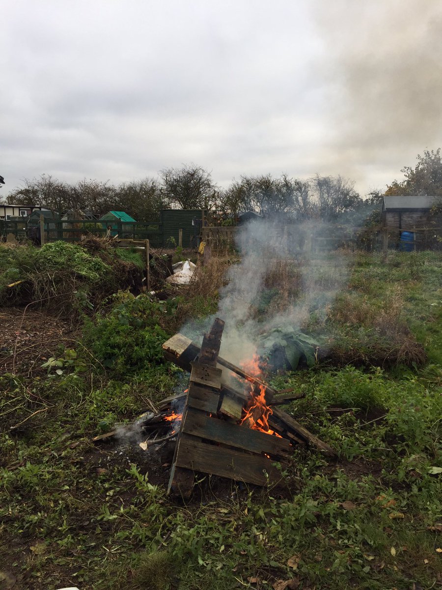 plot_137's tweet photo. Today is a good day for burning...even if the wood is a tad damp! #AllotmentDiary https://t.co/U4BCYjWHxH
