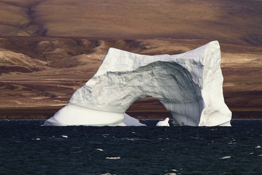 MapSights tweet media