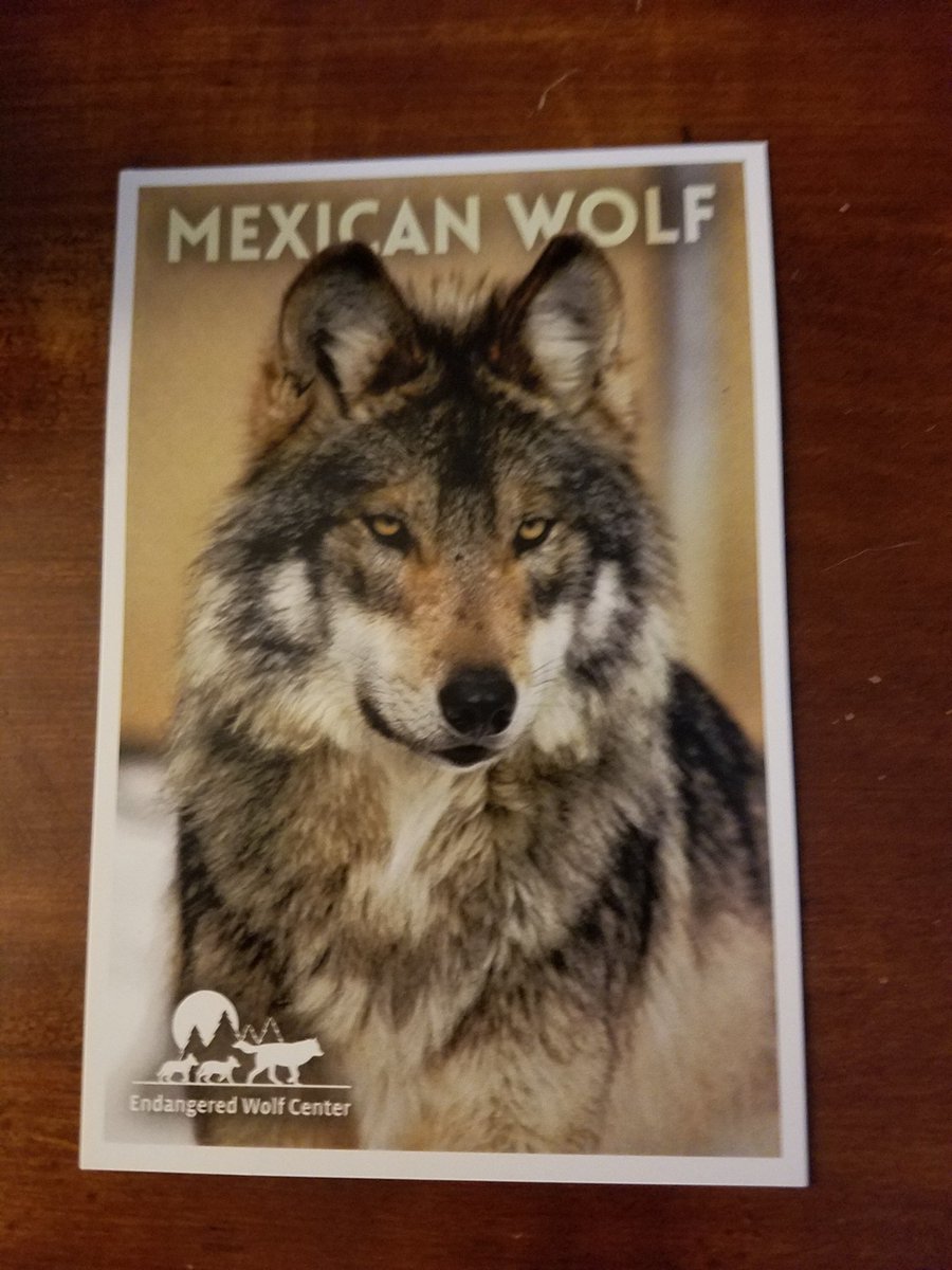 SLYBUTCH01's tweet photo. #postcardavalanche #stopbannon From Missouri https://t.co/kr66srmioK