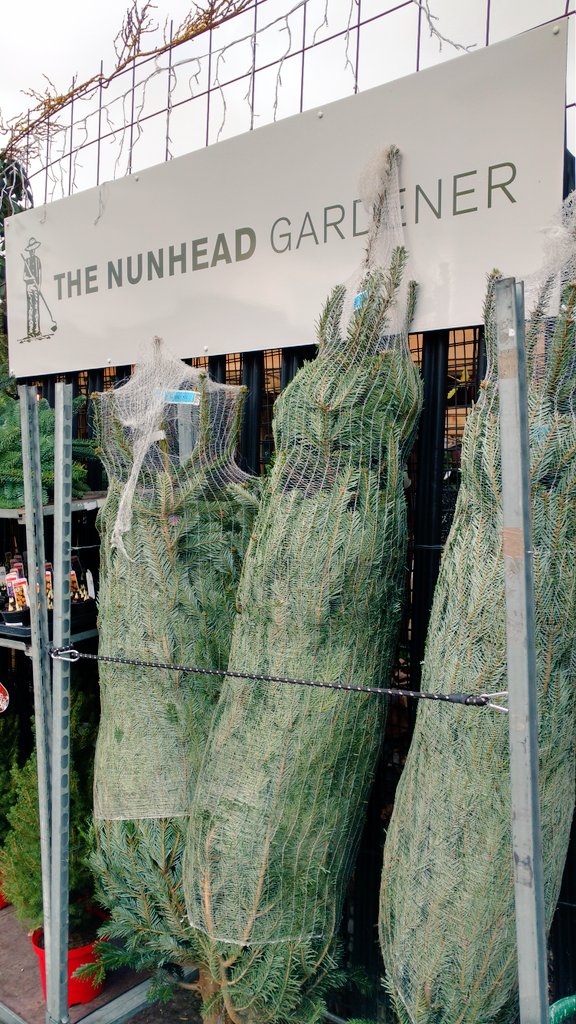 llondonbg's tweet photo. The Nunhead Gardener has gone all festive for the holidays. https://t.co/Zax3EMd7xU