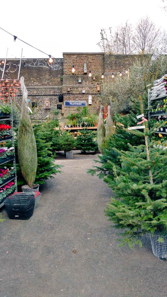llondonbg's tweet photo. The Nunhead Gardener has gone all festive for the holidays. https://t.co/Zax3EMd7xU