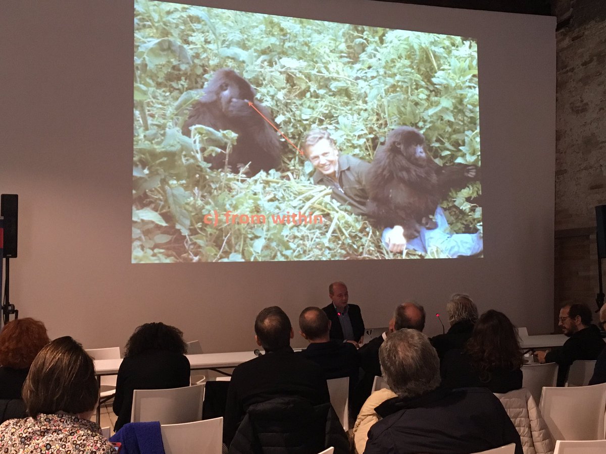 REDS2Alps's tweet photo. Rethinking WITHIN the front #marjancolletti #digitalculture #digitalpoetic #linebecomearchitecture #proximity #architecture #exuberance https://t.co/r7KWUr5sr3