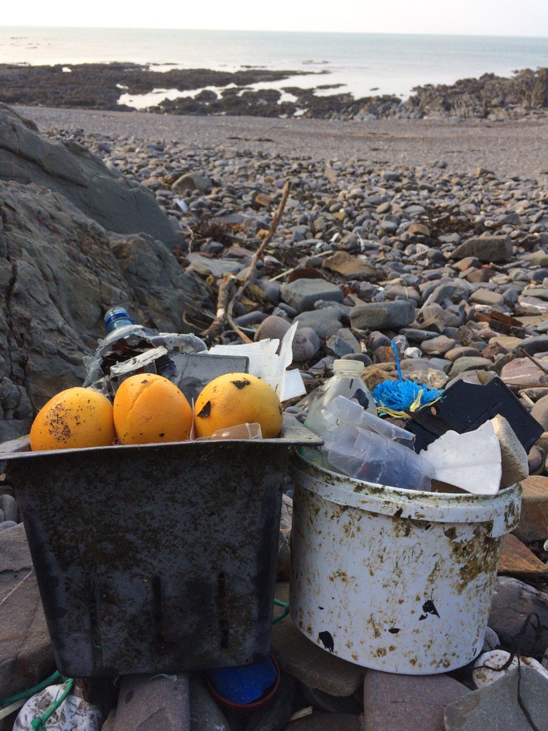 dr_dedoverde81's tweet photo. I hit the #2minutebeachclean jackpot! Three oranges today at #Wanson Beach, #Widemouth #Bude 🍊🍊🍊 https://t.co/M3bDBh7Kxa