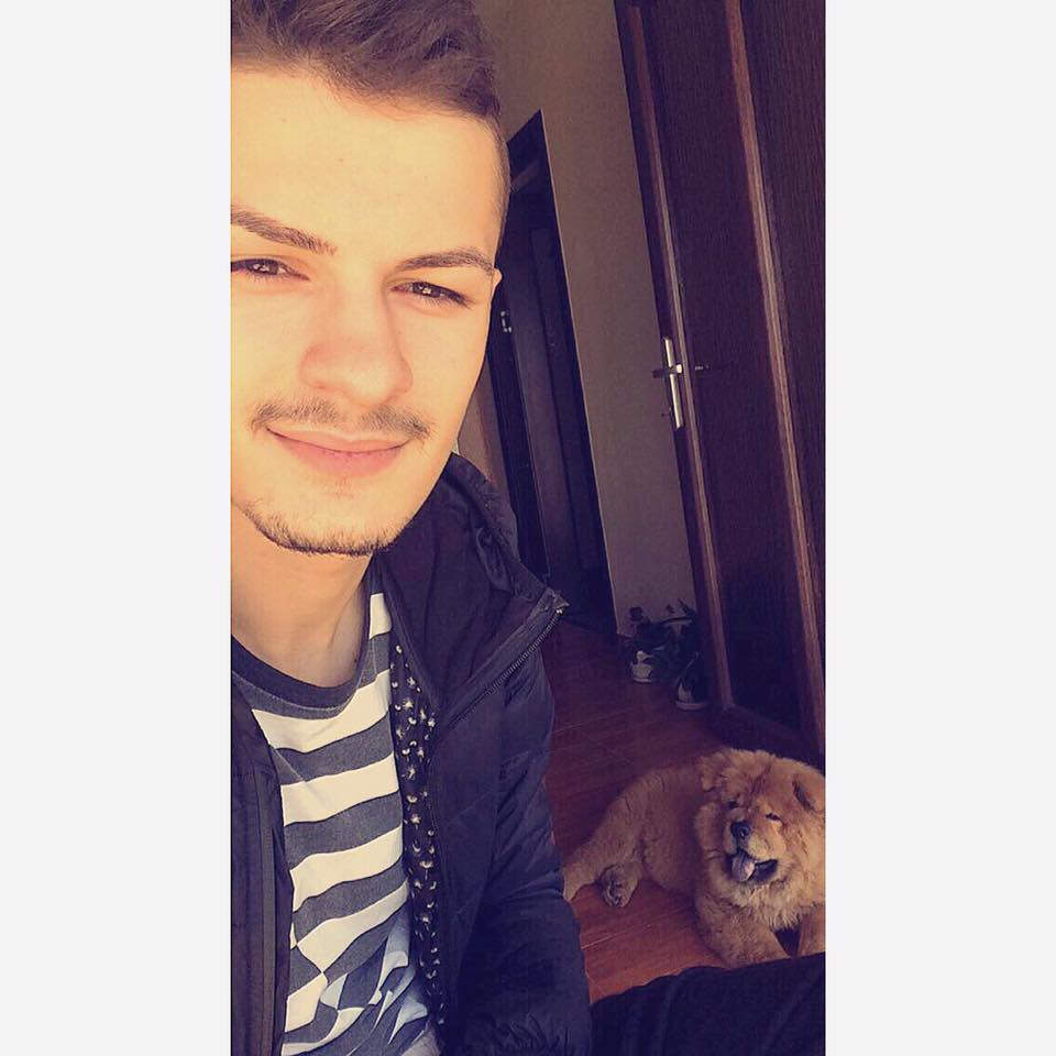 sstefanv17's tweet image. #chowchow #lovechowchow #puppylove