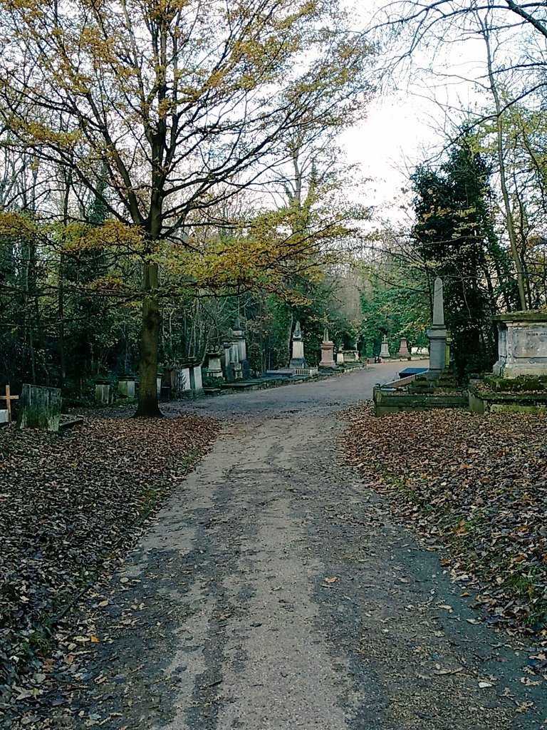 llondonbg's tweet photo. All saints cemetery is quite today. So peaceful. https://t.co/TkAHzt1zX2