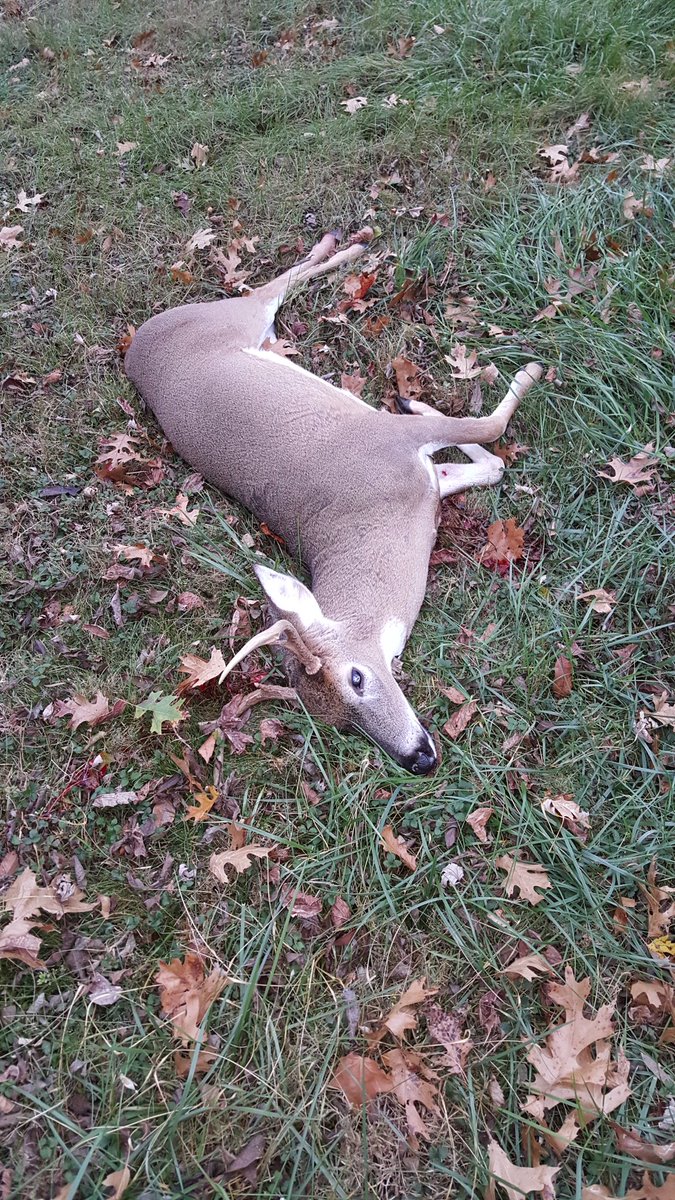 vantrease81's tweet image. .308 was hongry!