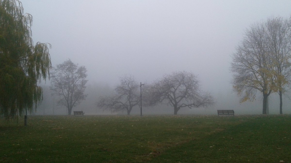 ImLichenit16's tweet photo. Morning #ENVB222 ! Why not start the day with a #HealthyBreakfast and a quick read through our #blog? #foggymorning  https://t.co/kERqCxn6yR https://t.co/kDKFIdKfAd