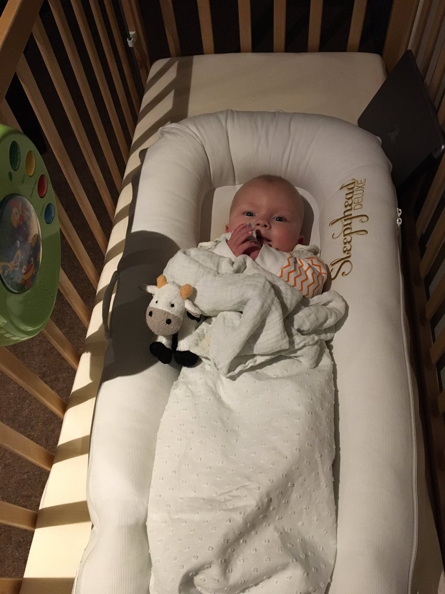 TimeToBeAnAdult's tweet photo. Thank you @CP_UK_Longleat for fixing my cot so quickly...I'm all refreshed ready for more fun now! https://t.co/hQGBSGXixg