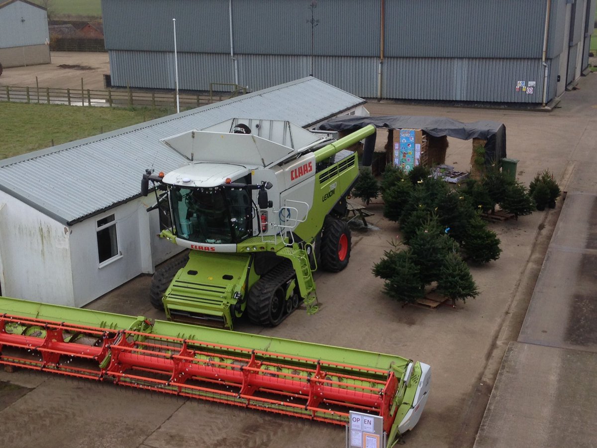 agjack_smith's tweet photo. Stoughton pop up shop - come and get your Christmas tree!! #stoughtonchristmastree #christmastree https://t.co/lNm50MiBWF