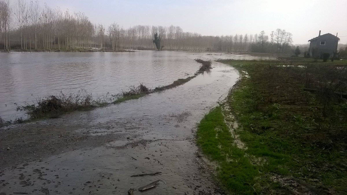 PCProvAL's tweet photo. La piena, in calo, del fiume #Po all'altezza di #PievedelCairo alle ore 12:17 del 27 novembre 2016. https://t.co/CWposM5yoi