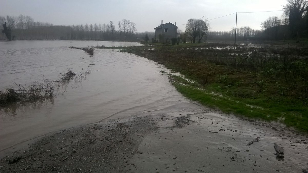 PCProvAL's tweet photo. La piena, in calo, del fiume #Po all'altezza di #PievedelCairo alle ore 12:17 del 27 novembre 2016. https://t.co/CWposM5yoi