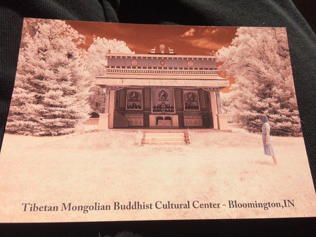 cairriladaire's tweet photo. .@realDonaldTrump with luv from IN. #postcardavalanche #stopbannon https://t.co/Rz531NLvQ1