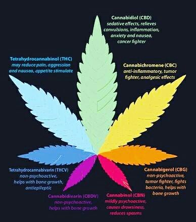 #thc #cbd #cbn #cbda #cbg #thcv #cbdv #cbc #cannabinoids Alot goes into your bag of weed then just thc. Which Cannabinoid is right for you?