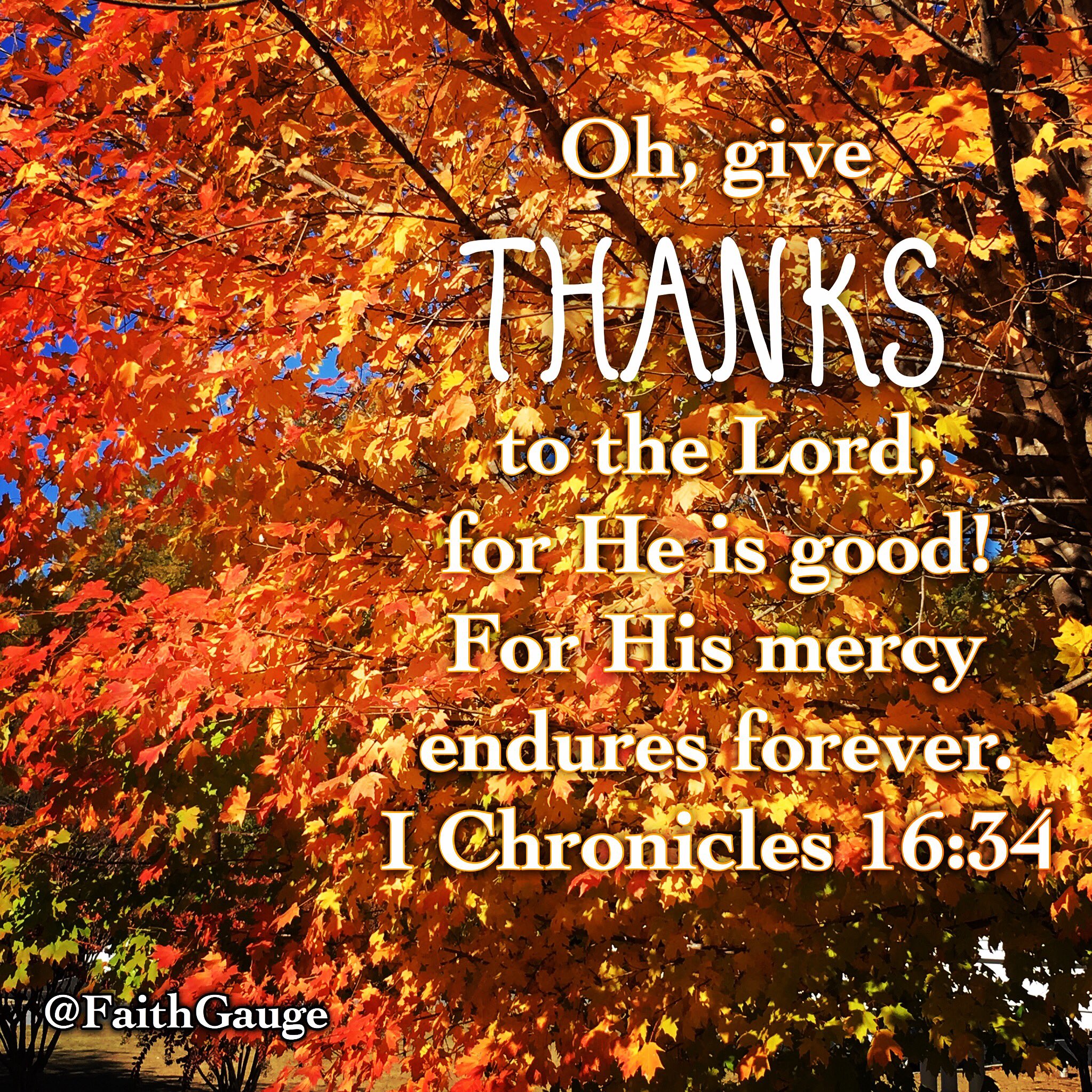 Faith Gauge On Twitter I Chronicles 16 34 NKJV We Give Thanks To The faith-gauge-on-twitter-i-chronicles-16-34-nkjv-we-give-thanks-to-the