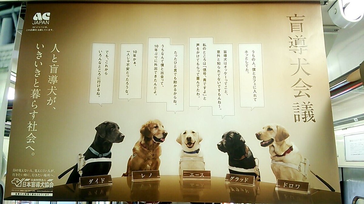 ob_oks's tweet photo. 盲導犬は育成するのに300万円必要です。
しかし、国からの補助金は全体の約10%ほどしかないそうです。
残りの90%は募金などの義援金でしか得られません。

皆さんの小さな協力が大きな協力になります！

是非、見かけたら募金をしてください！！

#RTよろしくお願いします https://t.co/3Sk11YCM7z