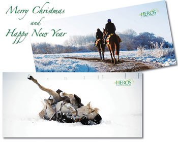 HEROSCharity's tweet photo. #HEROShorses Xmas cards for sale 10 pack for Β£10, #PayPal online >> https://t.co/DesMfE8n9d #NewLifeAfterRacing #GCTRT #charity #RT https://t.co/y7B91pYAml