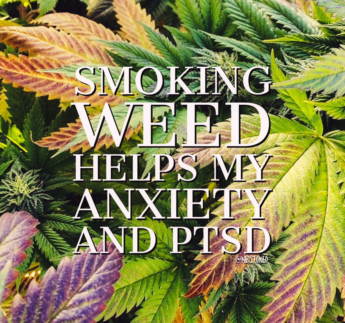 Smoking weed helps my anxiety and PTSD #LegalizeMarijuana