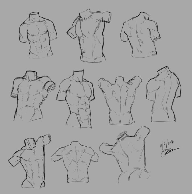 Male torso studies #digitalart #sketch 