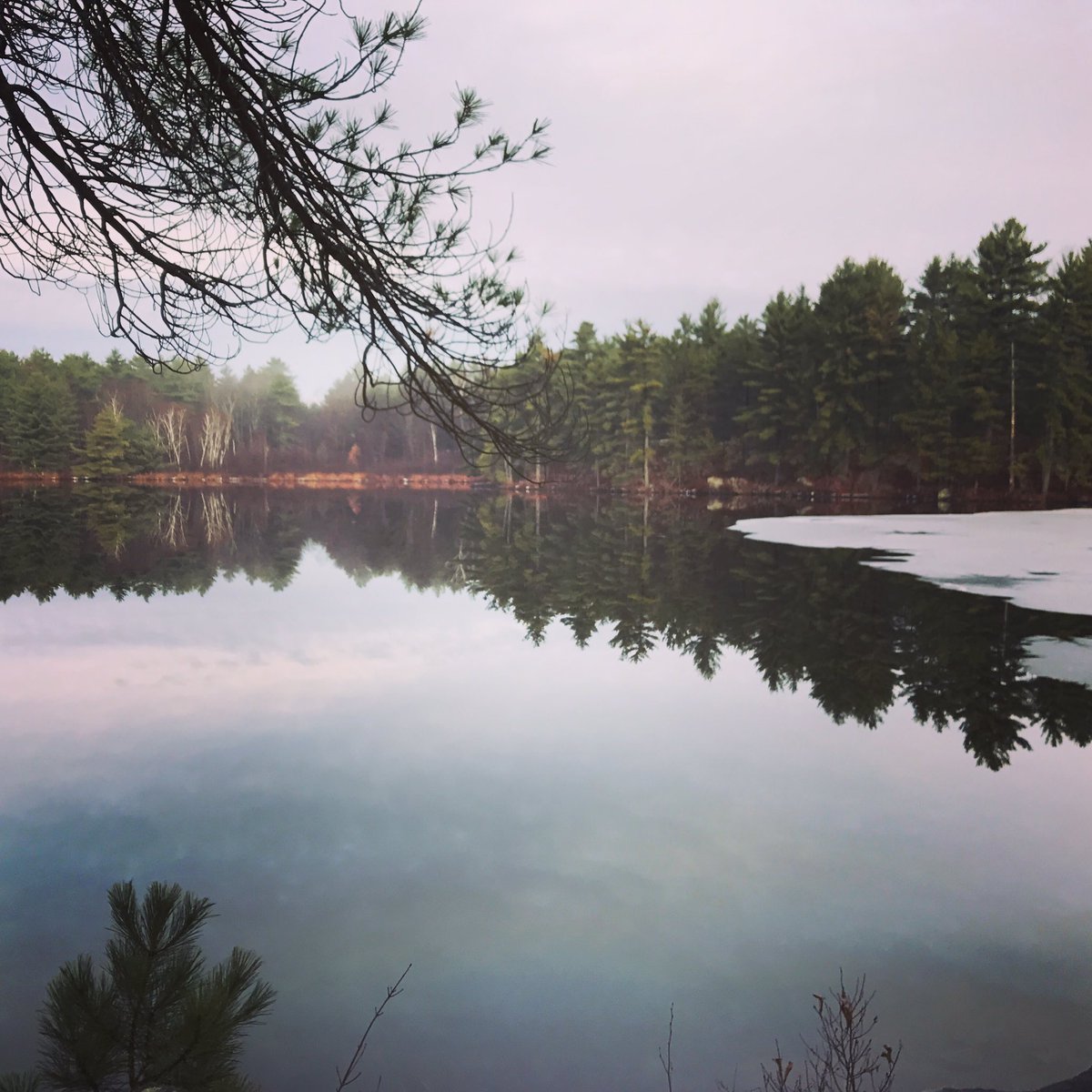 ontariowoods's tweet photo. https://t.co/D1fihhcqvZ #novemberreflections #camping #canoeing #hiking #adventure #explore #ontariowoodsandwaters #paddle #reflection https://t.co/TsCKJQAfaM