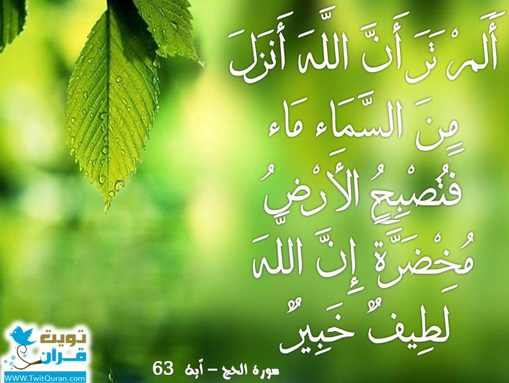 تم إختراقه لوجه الله (@abrahem03700ap) on Twitter photo 