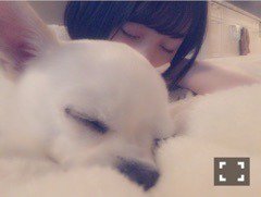 nogizaka46's tweet photo. 【ブログ更新 堀未央奈】 ゆきやこんこん https://t.co/9QtKoc0fNJ https://t.co/v2xTSsQgGW