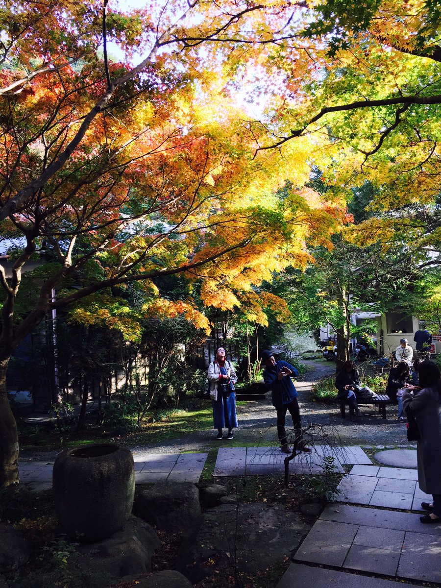 kappa564's tweet photo. 今日はつっくんと鎌倉の紅葉を観に行って来た〜！
写真を撮った覚園寺では雪が少し残り瓶に入っている水に反射して映る紅葉が綺麗でした^ ^
後は建長寺で座禅を組み足が痺れながらもお坊さんに警策で背中を叩かれる体験をしたりと、
楽しい一日でした(о´∀`о) https://t.co/nLBaL7oOR4