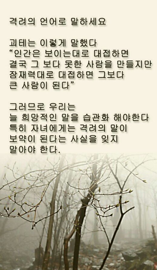 adelefree80's tweet image. 