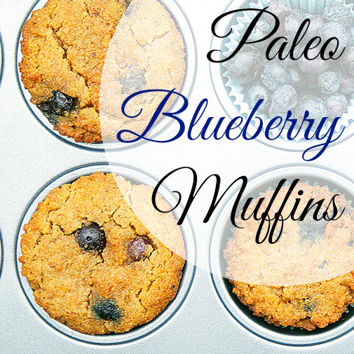 #BlackFriday sale extended! You can buy this delicious #paleo blueberry baking mix for JUST $5 ONLINE RIGHT NOW. 
paleobakingcompany.com